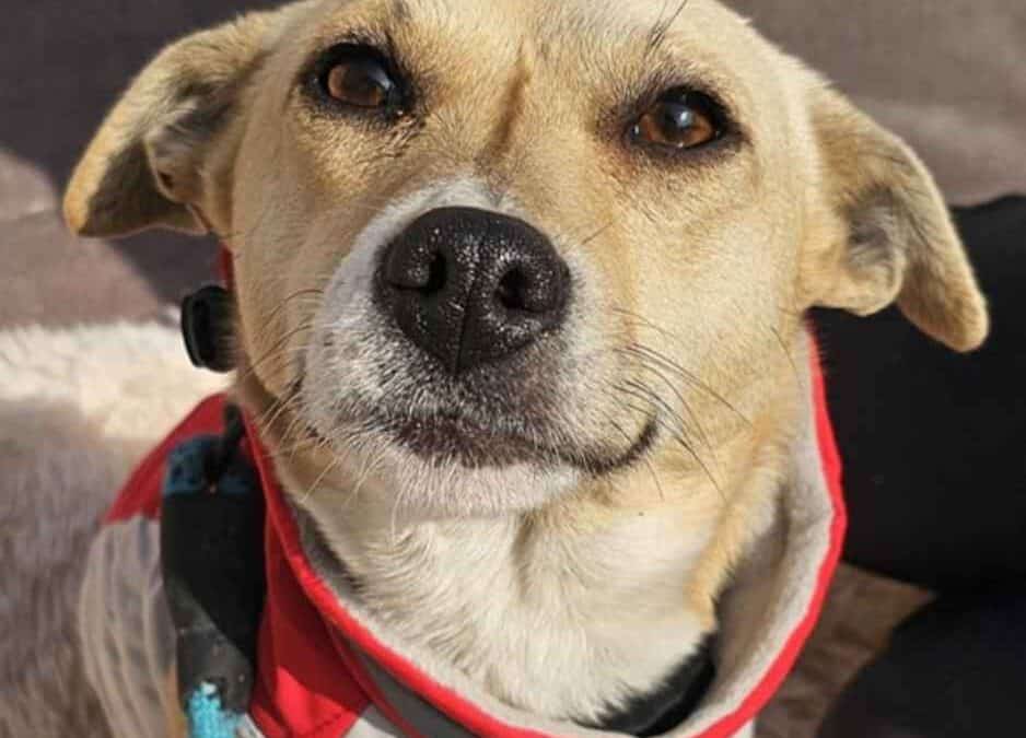 Adoption – Brenda