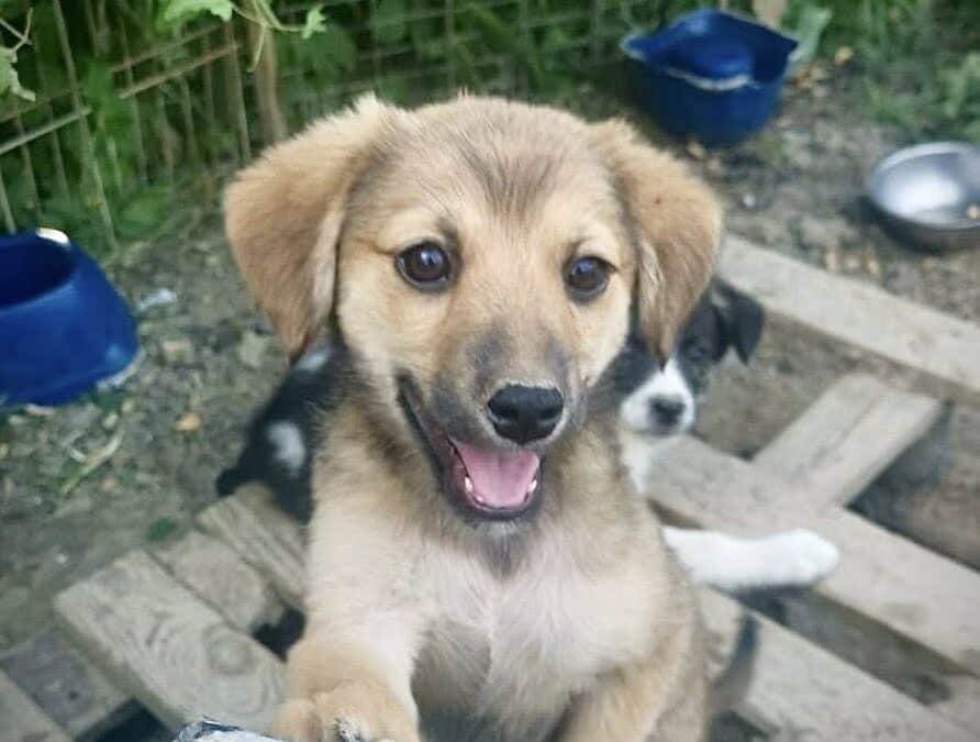 Adoption – Betty