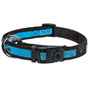 rogz Fancy Dress Turq Chrome collier pour chiens
