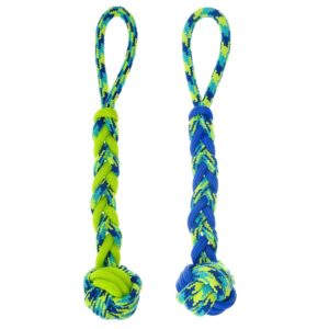 Zeus Rope TPR Ball Tug jouet pour chiens