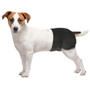 Freezack Couches jetables accessoire pour chiens