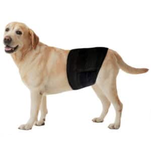 Freezack Couches jetables accessoire pour chiens