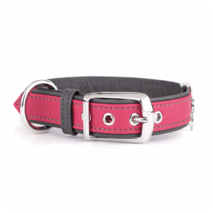 MyFamily Firenze Vitello collier pour chiens