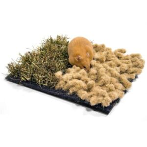 bunny Tapis de reniflage jouet