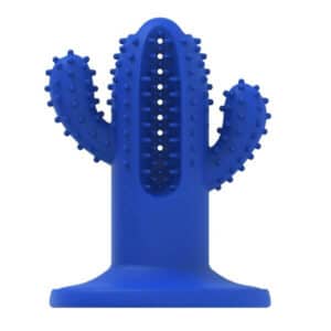 2 images All for Paws Chew Cactus jouet pour chiens