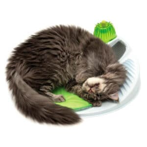 Catit Senses Wellness Center produit de soin pour chats