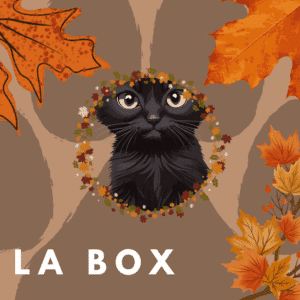 Box chatons