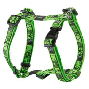 rogz Fancy Dress LimeJuice harnais pour chiens