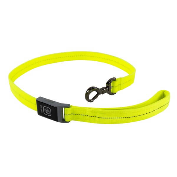 Freezack PVC Light-Leash laisse pour chiens