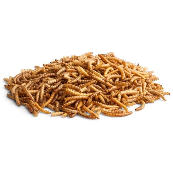 bunny Assortiment de vers friandise pour hamsters, hamsters nains, souris colorées, gerbilles et rats – Image 2